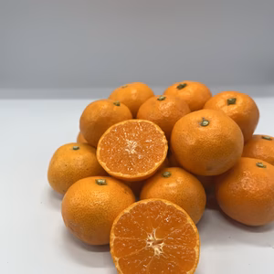 みかんの大王⭐︎愛媛産減農薬大玉みかん　2L 3L以上混合　家庭用　綺麗