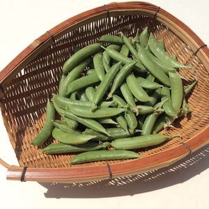スナップエンドウ 無農薬・化学肥料不使用