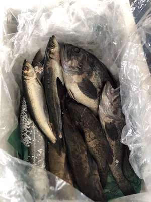 みんなの投稿の画像