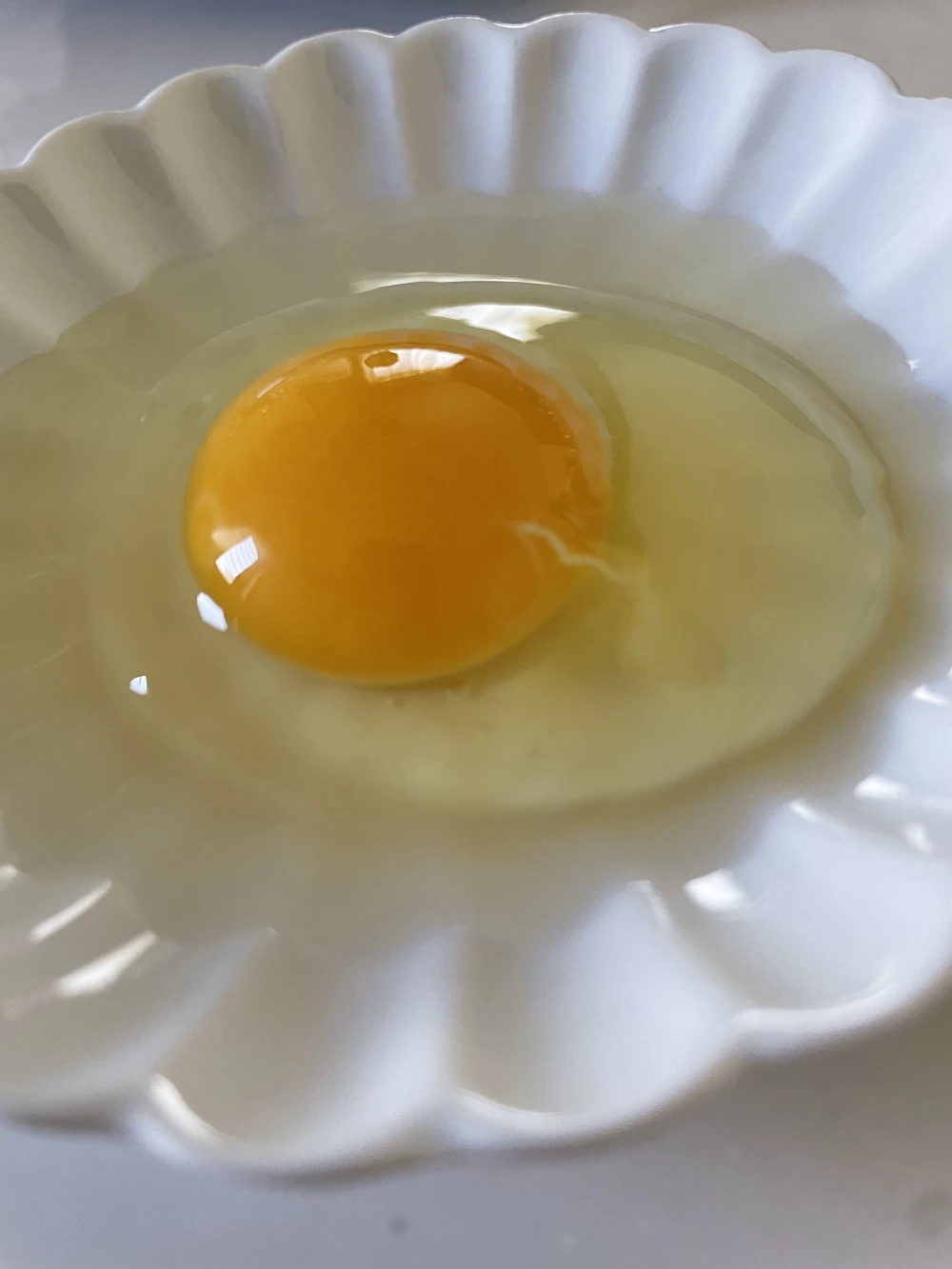 昔ながらの放し飼いでのびのび育った純国産赤鶏もみじのたまご