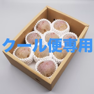 山梨県産完熟すもも【ソルダム】　訳あり商品あり！クール便