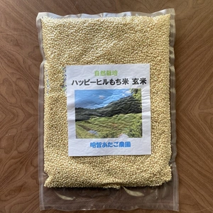 【自然栽培】ハッピーヒルもち米　玄米950g　農薬不使用・無肥料栽培　令和5年産