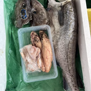 早い物勝ち❗️タラ鍋用、下処理済み❗️2k