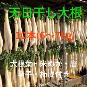 【最後の天日干し大根】練馬沢庵大根(10本)と漬物材料