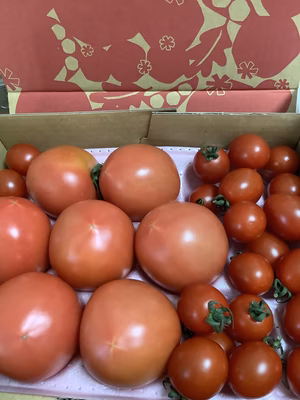 みんなの投稿の画像