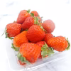 バラ詰め 夏イチゴ (宮城県産)