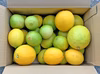 国産マイヤーレモン＋国産ライム5個セット(3kg)