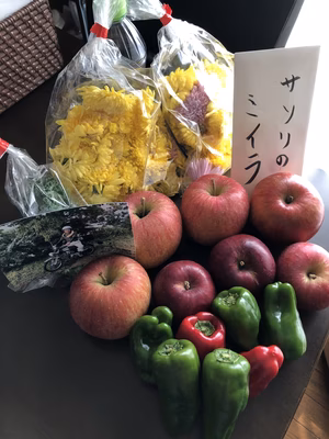 みんなの投稿の画像