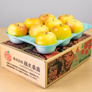 「名月」約3kg　訳アリ家庭用りんご　8玉～12玉