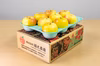 「名月」約3kg　訳アリ家庭用りんご　8玉～12玉
