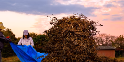 落花生ぼっちを作りに、千葉県八街市の小山さんの畑に行ってきたよ