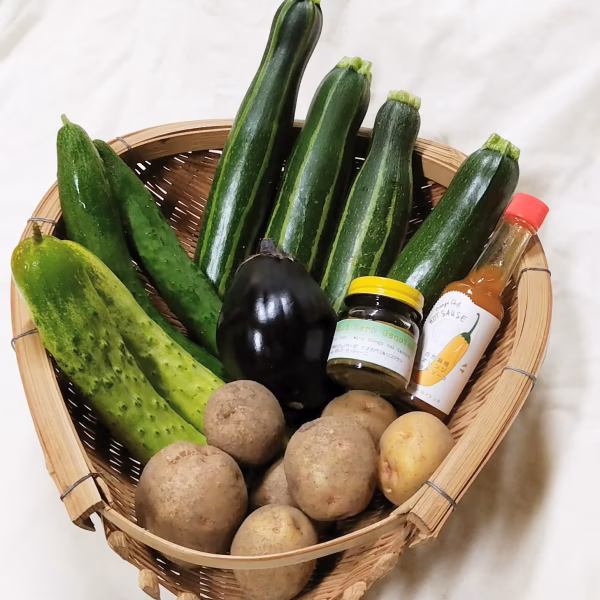 サユールイトシロの加工品をどれか2品と自然栽培野菜BOXをセットで！　