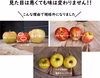 規格外や訳ありを集めた加工用りんご10kg　スムージーやお菓子作りにどうぞ！