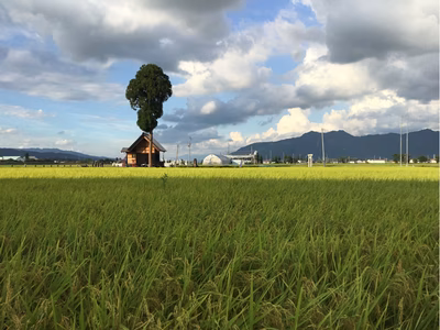 みんなの投稿の画像