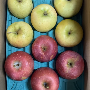 家庭用りんご詰め合わせ