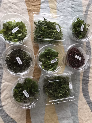 みんなの投稿の画像