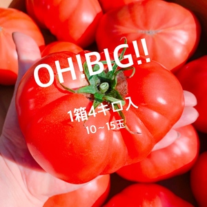 OH! BIG!! TOMATO