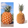 【数量限定】石垣島産パイナップル　食べ比べセット6玉4.5kg〜