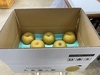 早割！ちょっと訳あり【船橋の梨】大長園の幸水 大玉5kg箱♡食べたらトリコ