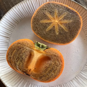 【樹上脱渋柿】　紀ノ川柿　和歌山