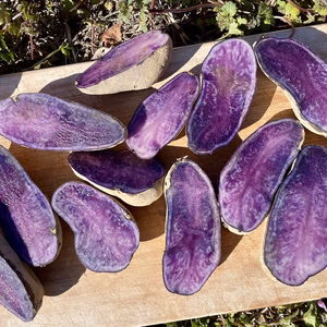 新じゃがいもシャドークイーン 農薬・化学肥料不使用