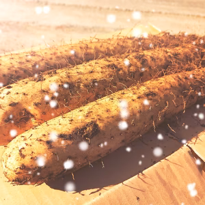 月野更夜様専用『大正酵素ながいも＆メークイン』