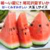 甘～いおいし～い尾花沢大玉すいか L サイズ(羅王ザ・スウィート） 山形県産 