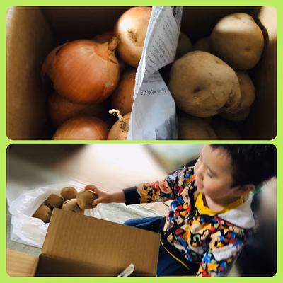 みんなの投稿の画像