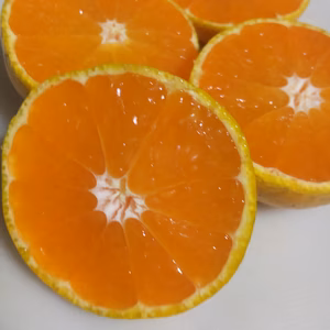 早生みかん3級品（大小込）減農薬（外観悪い、中身は超綺麗）おまけ付き（レモン）