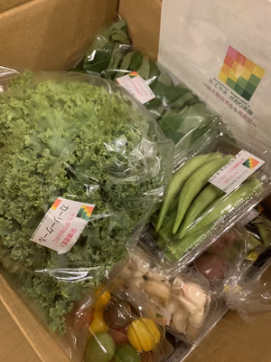 みんなの投稿の画像