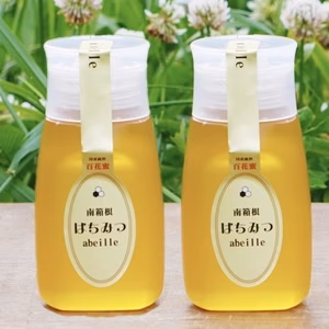 2025年採蜜した非加熱の蜂蜜　はちみつ300ｇ2本セットプラボトルタイプ