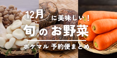 1２月が旬の冬野菜（さつまいも・れんこん・きのこ等）旬食材 予約・購入も