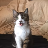 美味しいものが大好き