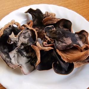 青森県産　乾燥きくらげ