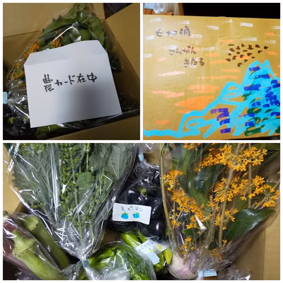 みんなの投稿の画像