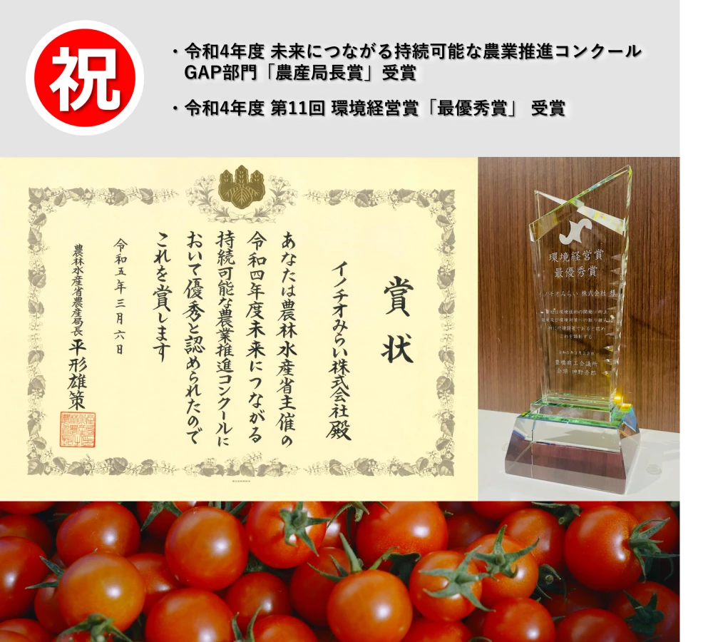 ☀️おひさま育ち☀️天然アミノ酸パワーで元気いっぱい‼️のミニトマト