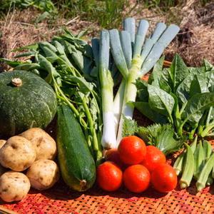 【自然栽培】山形の自然栽培野菜セット