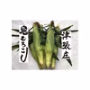 <鬼もろこし>   養豚農家が育てた極甘旨とうもろこし！