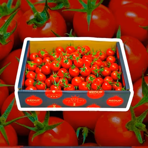 【特別栽培農産物】ソムリエミニトマト　ダイヤ