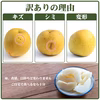 【高級梨の訳あり品】爽やかでスッキリとした上品な甘さ、高級梨【あきづき】