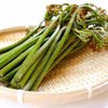 予約受付中 山菜 天然わらび１ｋｇ おひたし 煮物 お味噌汁等 5月中旬以降お届
