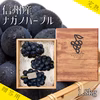 【贈答用】厳選！ずっしり大房ナガノパープル３〜４房（約１８００g）