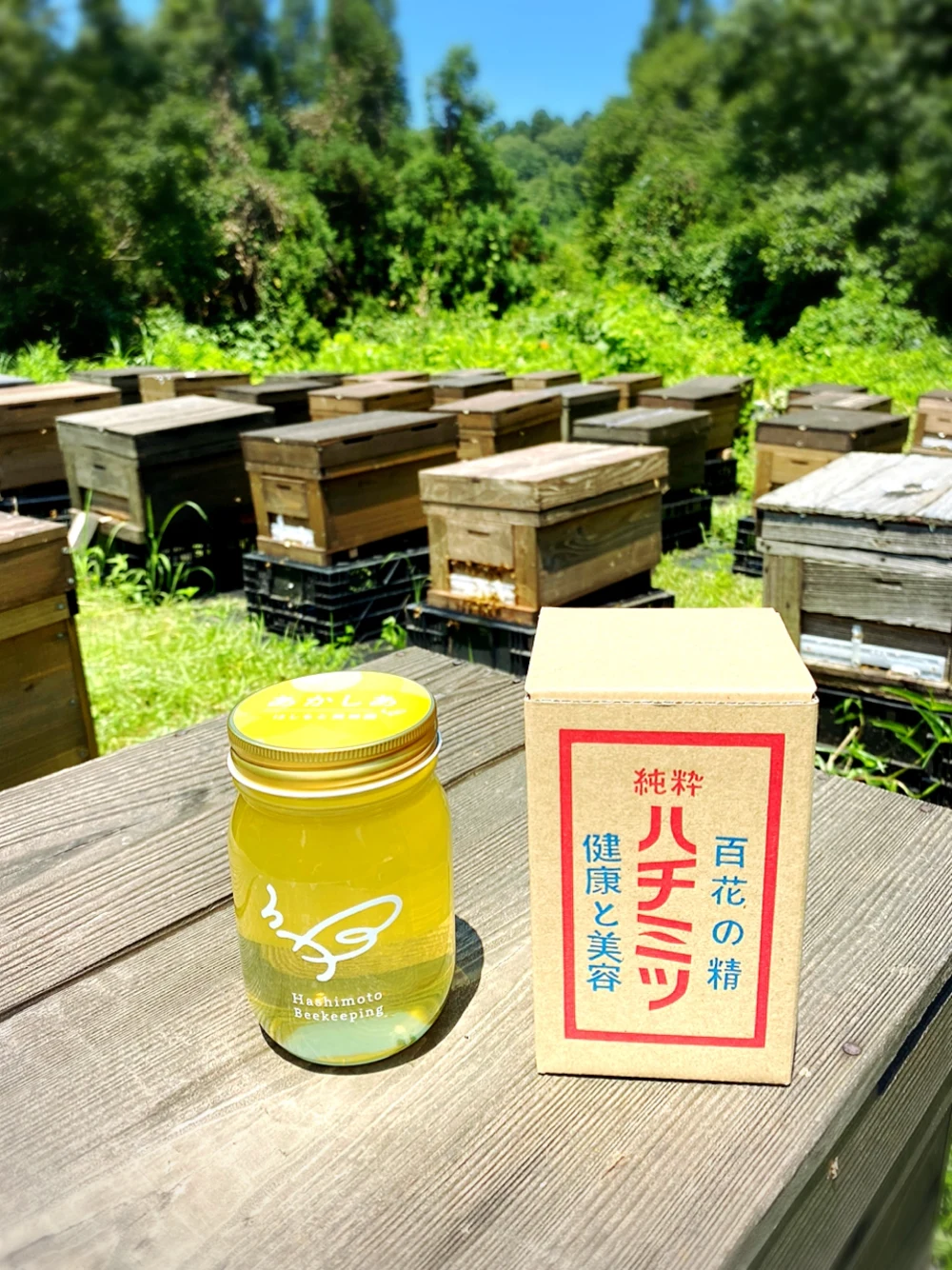 　けんぽなし500g・あかしあ500g 2本セット