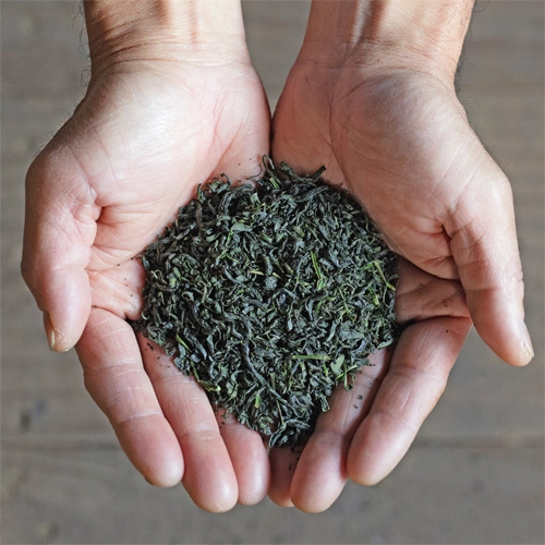 【セット⑨】釜炒り茶を堪能！徳用釜炒り茶＆うれしの釜炒り茶ティーバッグセット！