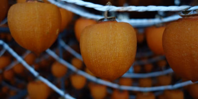 あんぽ柿は生鮮食品？加工食品？