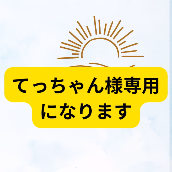 てっちゃん様専用になります