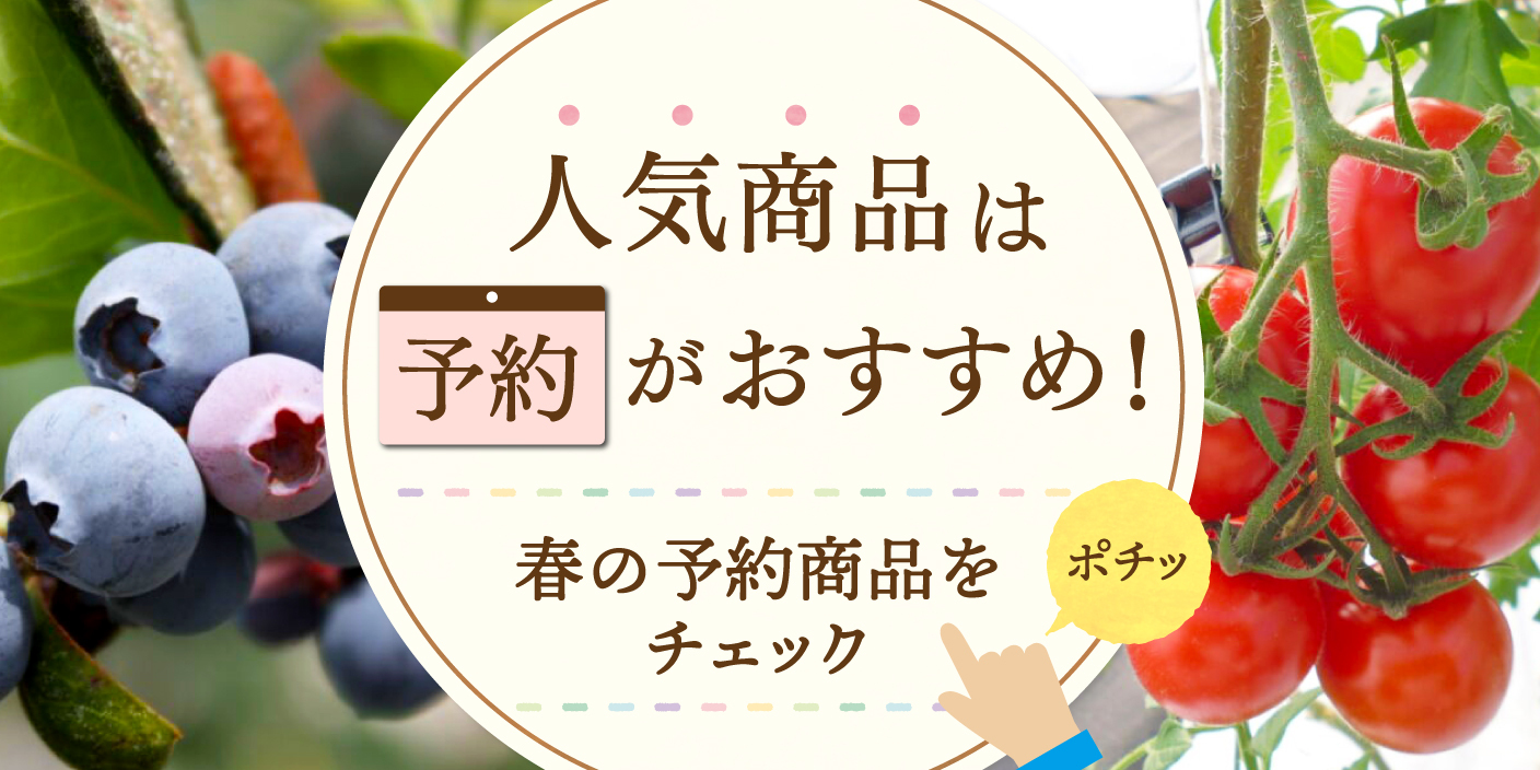 人気商品✨を確実に買いたいなら…「予約」がおすすめ☝春の予約商品を