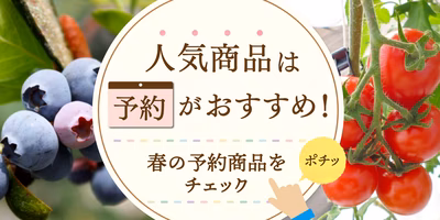 人気商品✨を確実に買いたいなら…「予約」がおすすめ☝春の予約商品をピックアップ🌈