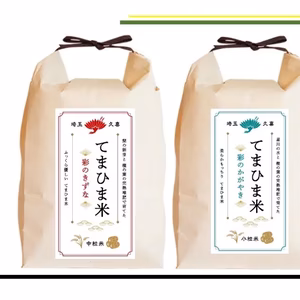 【新米】セット　令和6年産『てまひま米』彩のかがやき・彩のきずな　精米４㎏~