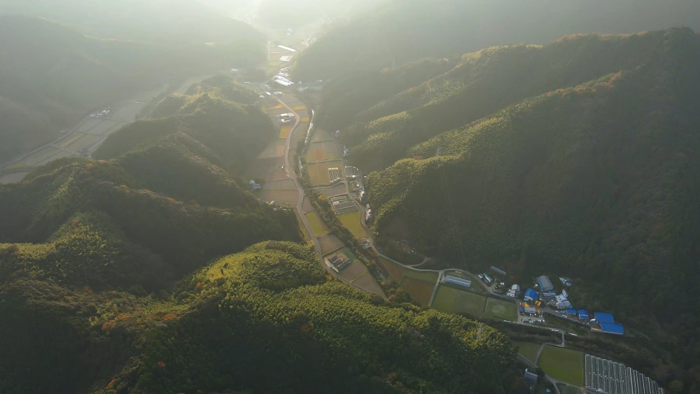 完全無添加　しょうがシロップ (1本:500ml※五倍希釈)